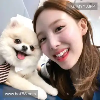 周辰弋
